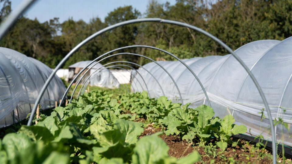 Low-tunnel technology