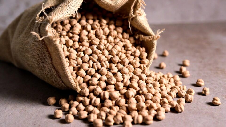 New arrival of gram chana