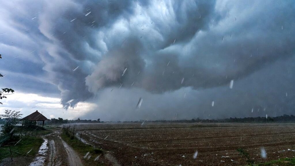 Hailstorm in Madhya Pradesh