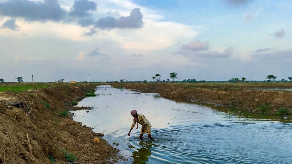 Irrigation system in Uttar Pradesh