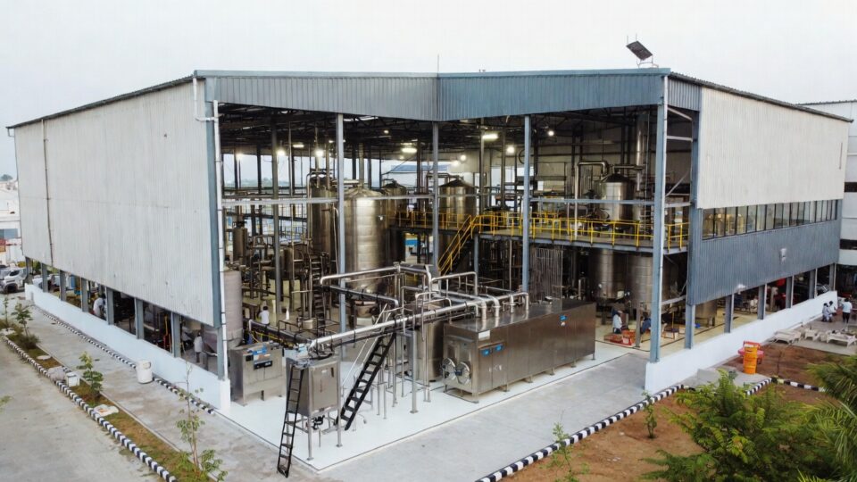 Milk production and dairy plant