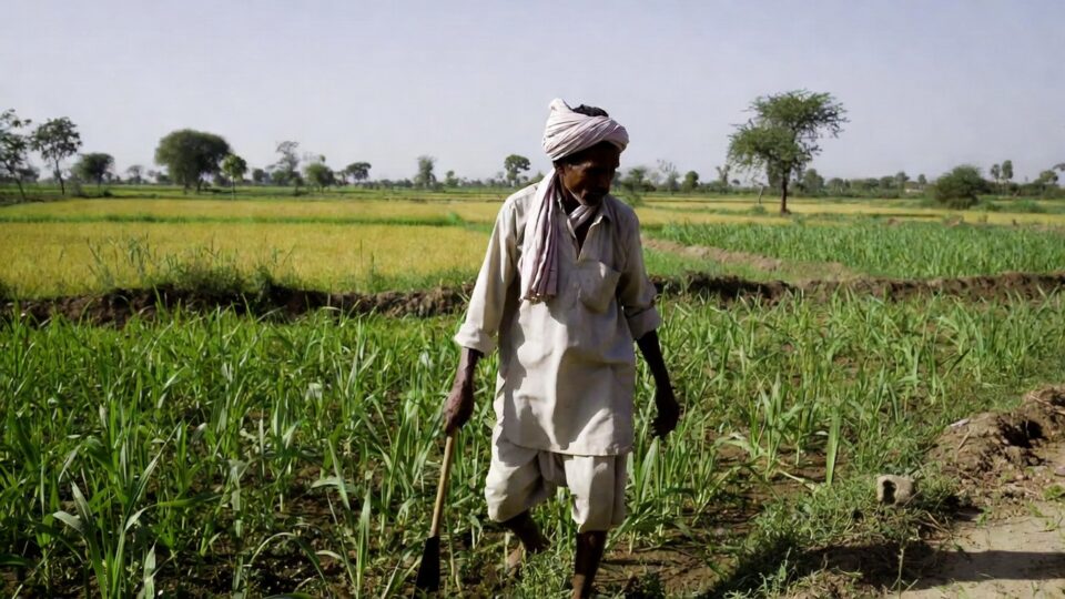 Relief to farmers of Madhya Pradesh