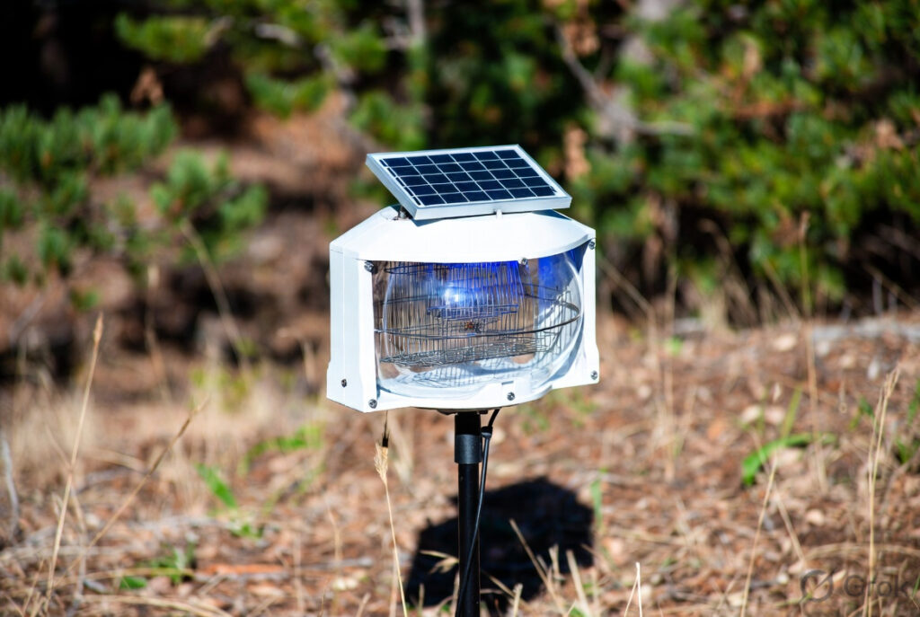Solar-Powered Insect Trap