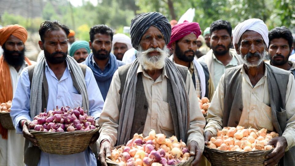 The government has again increased the purchase price of onion