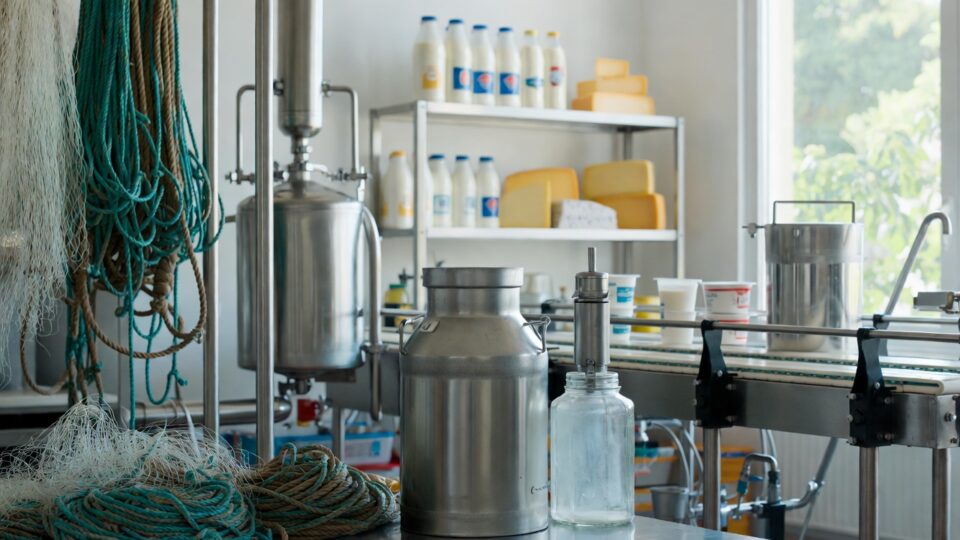 Preparations underway to make Madhya Pradesh a leader in milk production