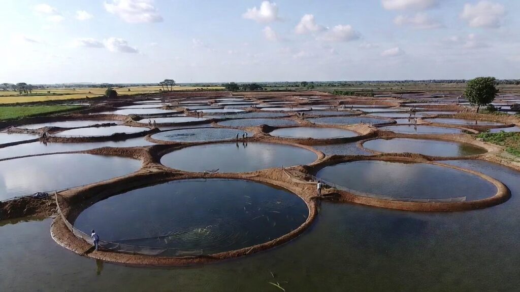 Fish farming in Bihar earns lakhs